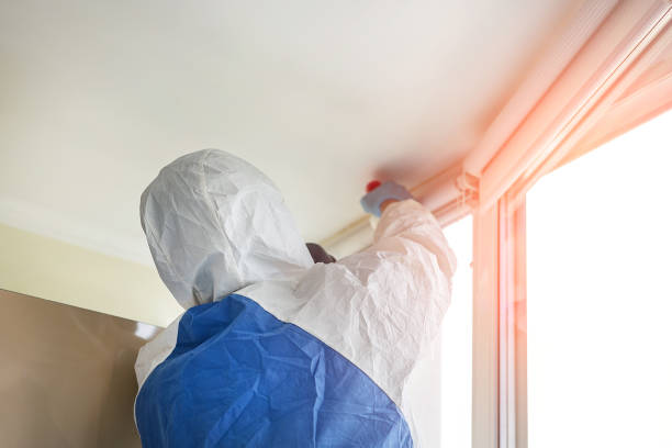 Mold Remediation for Rental Properties in Browns Mills, NJ